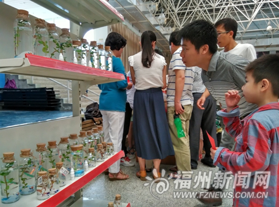 福州科技馆:大学生摆摊玩创意 亲子手工活乐翻天 福州科技馆:大学生摆摊玩创意 亲子手工活乐翻天