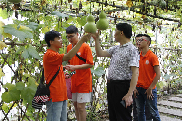 参观农业示范基地