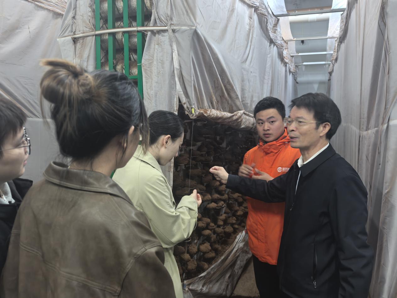 20241203深入仙芝科技(福建)股份有限公司开展技术需求对接(福大科技园供图).jpeg