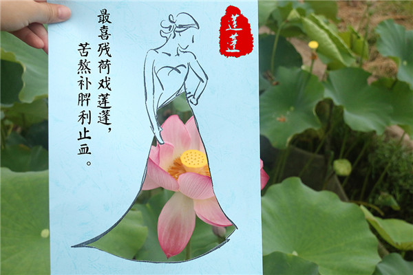 莲蓬