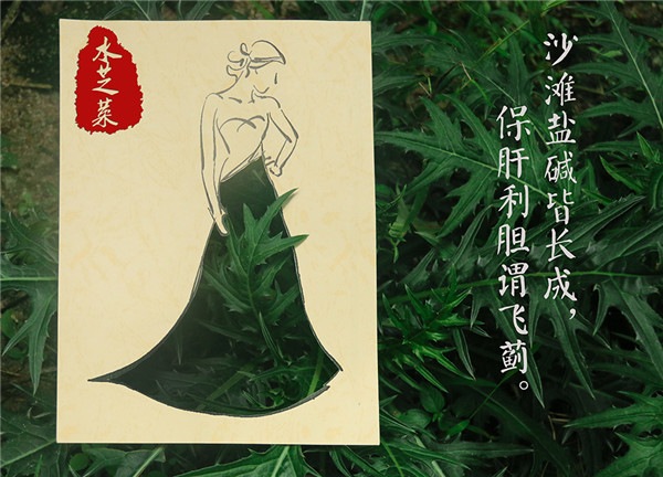 水芝菜
