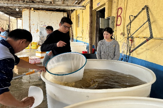 20240322科技特派员张婷婷泉州市科技局.png 20240322科技特派员张婷婷泉州市科技局.png