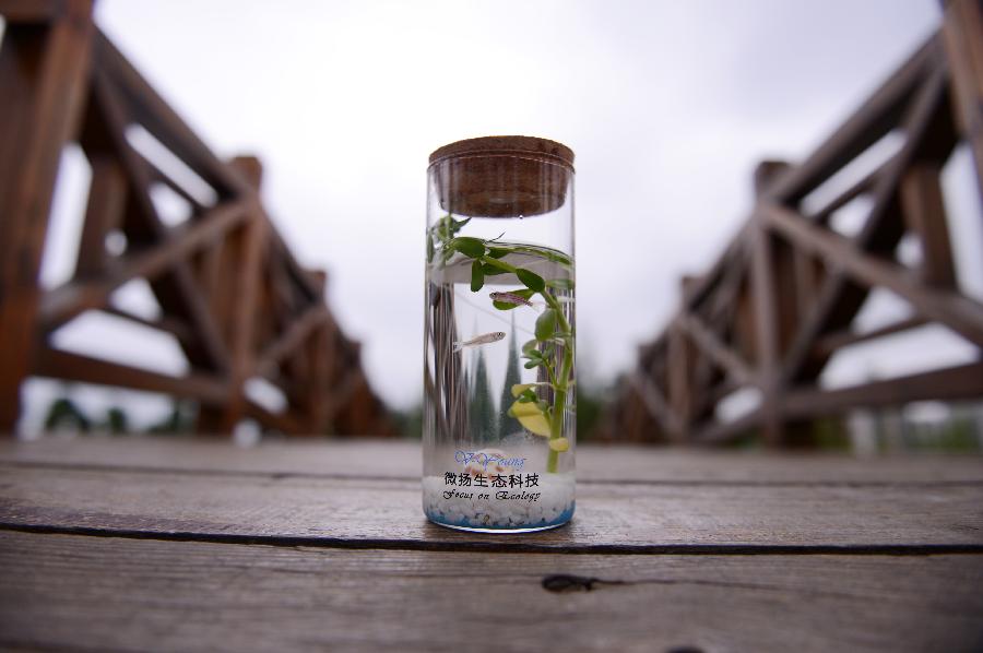 （社会）（2）福州大学生发明微生态鱼瓶实现微创业
